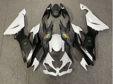 2019-2023 Faccia Felice ZX6R Carénage Moto